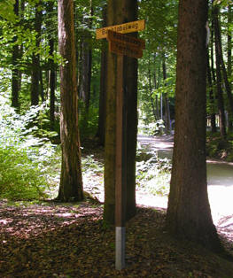 Rosshau/Bachtobelweg