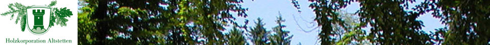 Banner Bild